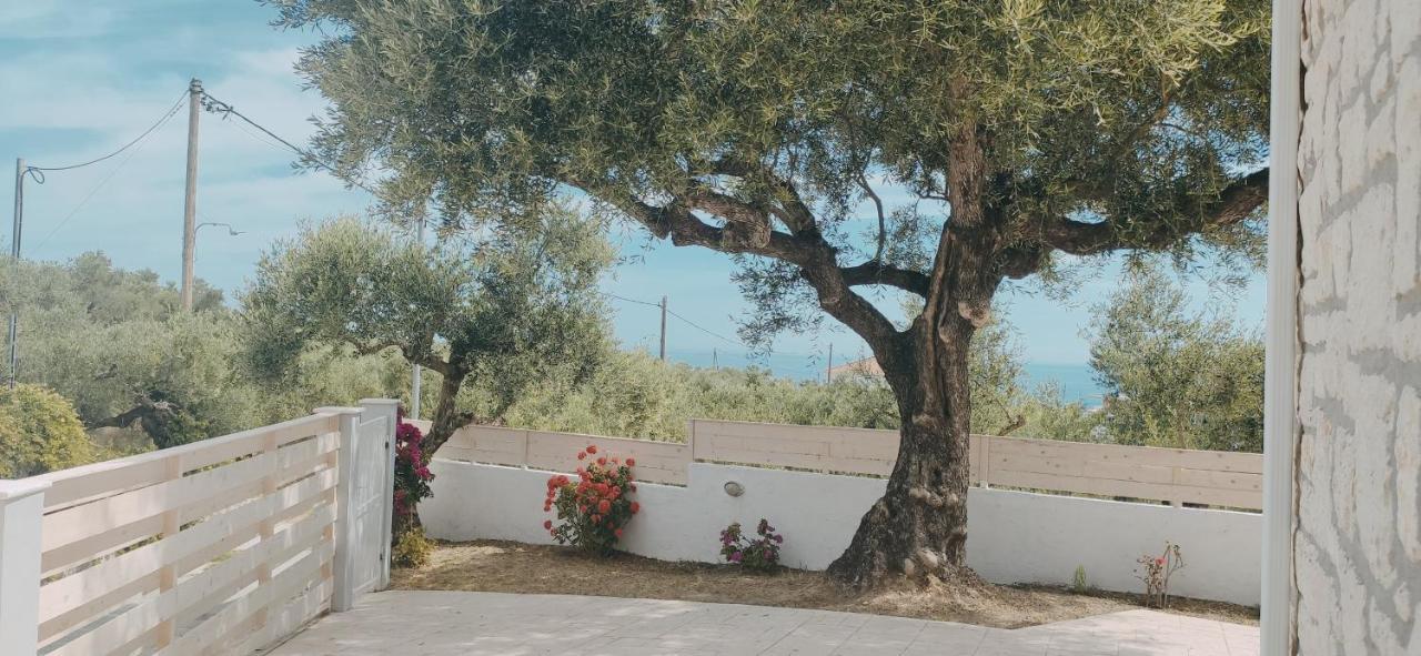 Villa Zante Avia Plános 外观 照片