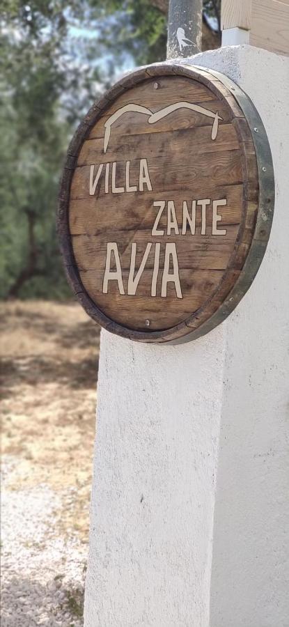 Villa Zante Avia Plános 外观 照片